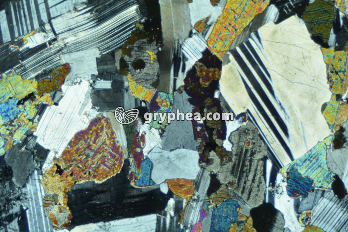 Gabbro LPA x6,3 - gryphea.com